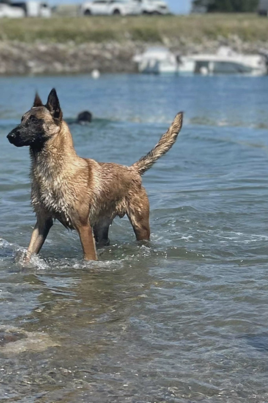 VMAX du domaine du Caméléon